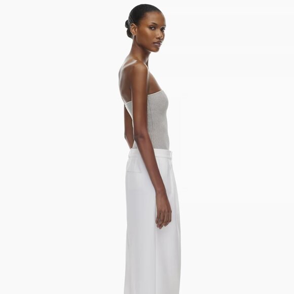 Aritzia Babaton Tube Top Sculpt Knit Silver - Picture 5 of 12